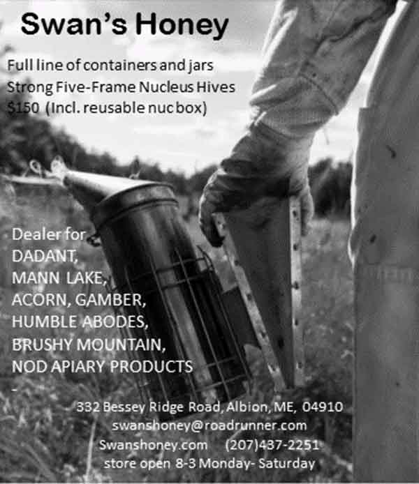 swans honey