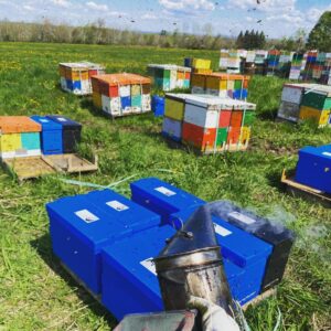 Swan's Five Frame Nuc - All proceeds go to the MSBA